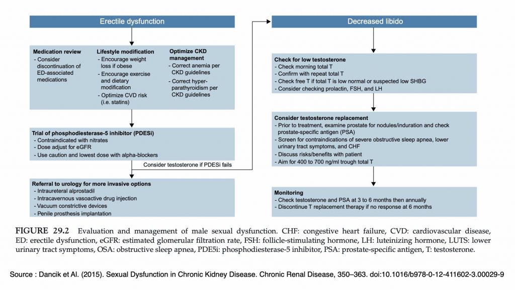 Evaluation and management of male sexual dysfunction